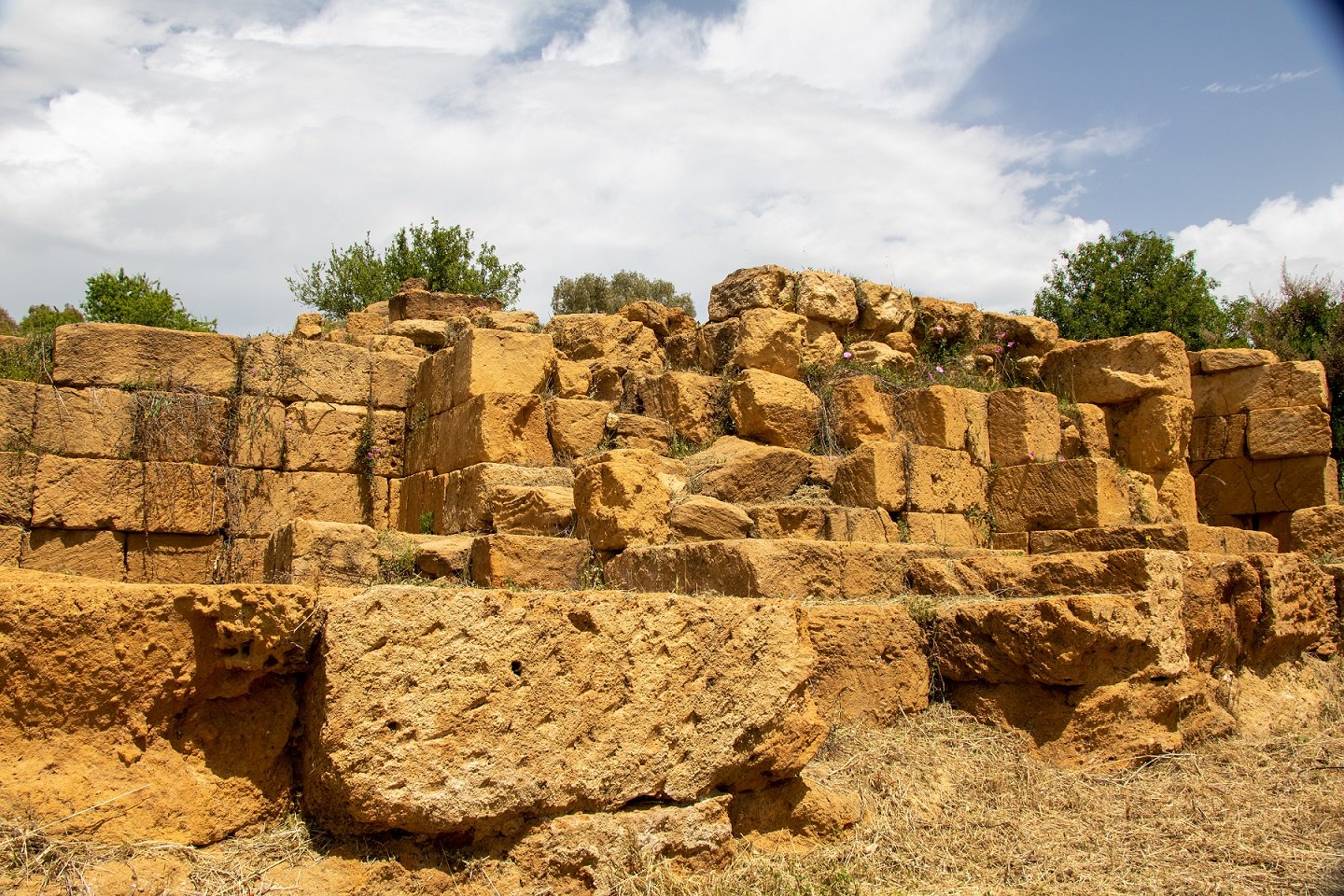 Scopri di più sull'articolo “Esculapio” – Trekking alla Valle dei Templi